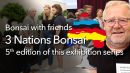 3 nations bonsai 2023 theth