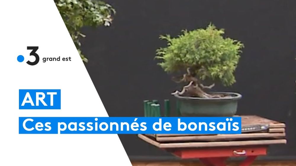 pour ces alsaciens la culture du
