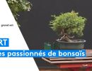 pour ces alsaciens la culture du
